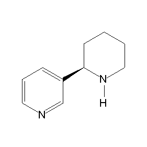 SBB000142 3-(2-piperidyl)pyridine
