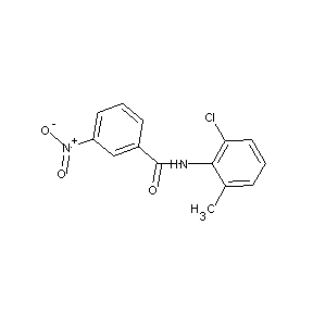 ST011211 N-(6-chloro-2-methylphenyl)(3-nitrophenyl)carboxamide