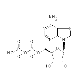 ST057081 Adenosine-5'-diphosphate, disodium salt hydrate