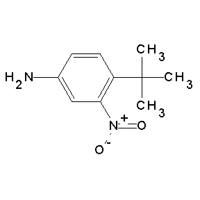 ST4125139 4-(tert-butyl)-3-nitrophenylamine
